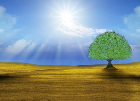 green big tree in yellow fieldの写真素材