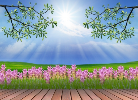 out door sceneryの写真素材