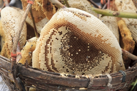 natural honeycomb in fresh market  use for food  ingredien topicの写真素材