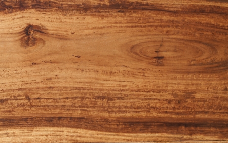 texture of bark wood use as natural background の写真素材
