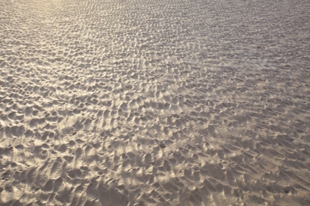 textured of natural sand beach use as multipurpose backgroundの写真素材