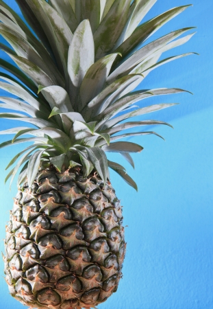 pineapple on blue background for multipurposeの写真素材