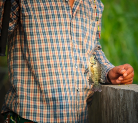 fishing man  and nile fish hanging on hookの写真素材
