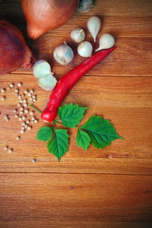 onion garlic white pepper red chilly eastern herb spice on top wood table の写真素材