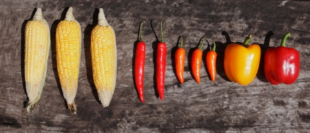corn chilly paprika on wood table の写真素材
