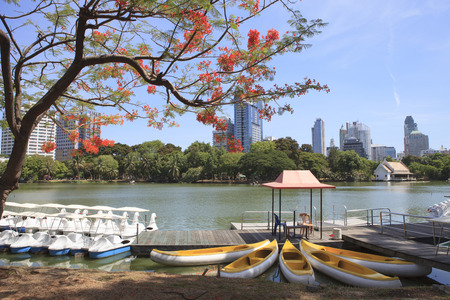 landscape scene of beautiful Lumphini public park important landmark in heart of Bangkok Thailandの写真素材