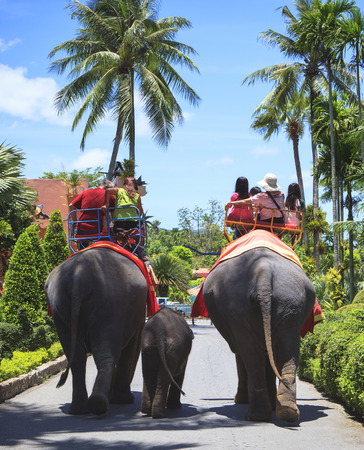 tourist riding on elephant backのeditorial素材
