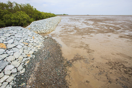 rock dam protection sea mangrove form natural sea storm damage for save environment