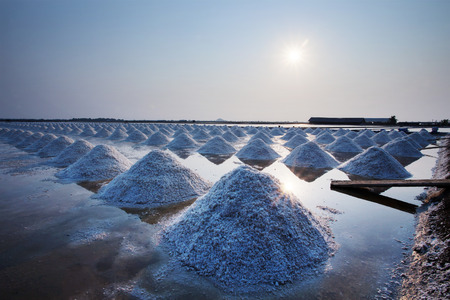 Heap of sea salt in original salt produce farm make from natural ocean salty water preparing for...