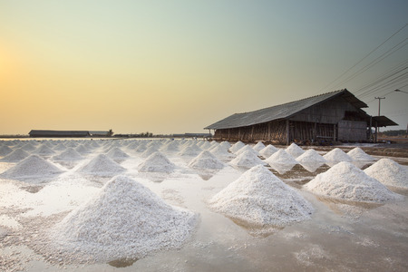 heap of salted harvesting in orginal tradition salt farm industry agricultural in coastal area central of thailandの写真素材
