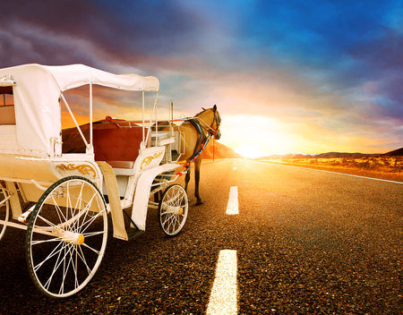 horse and classic fairy tale carriage on asphalt road perspective to beautiful land scape with sun rising skyの写真素材