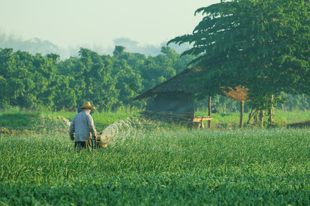 thai farmer working in agriculture plantationの写真素材