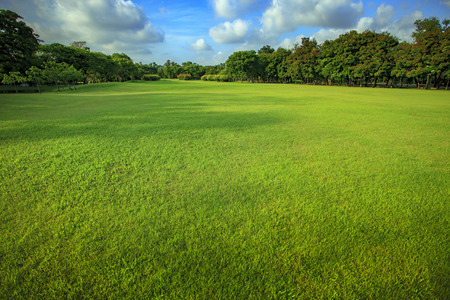 beautiful morning light of green grass lawn in public park use as natural background ,backdropの写真素材