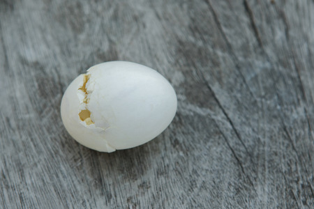 broken pigeon egg shell on wood backgroundの写真素材