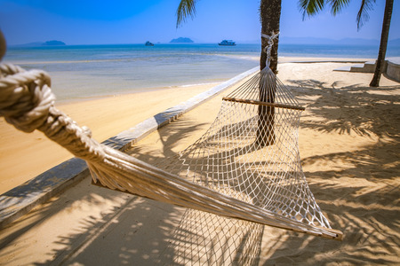 beach cradle under coconut tree with blue sea background for summer vacationの写真素材