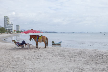 HUAHIN PRACHUAP KHIRI KHAN THAILAND -J UNE25,2016 : tourist horse keeper lying on beach chair with pony horse on huahin beach ,most popular traveling destination in prachuap khiri khan southern of thailandのeditorial素材