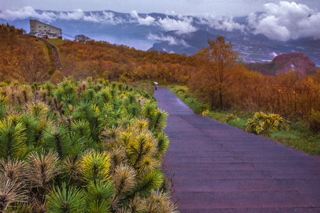 autumn season leaves color change in showa-shinzan vulcano hokkaido japanの写真素材