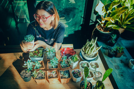 woman planting succulent at little  home gardenの写真素材
