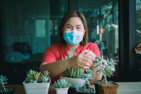 woman planting succulent at little  home gardenの写真素材