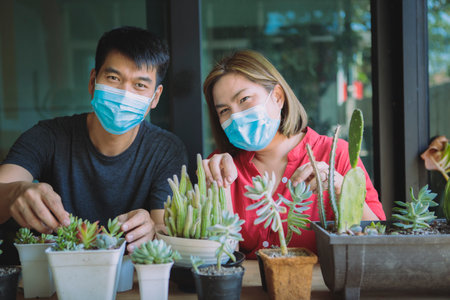 asian man and woman wearing protection mask planting cactus at homeの写真素材