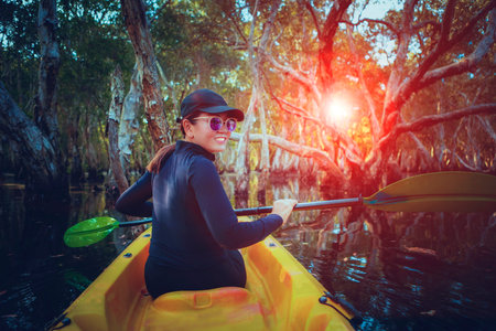 woman sailing sea kayak in big mangrove forest habitatの写真素材