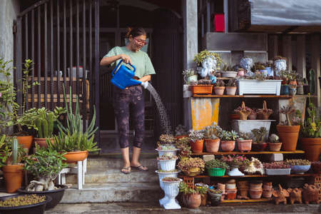 woman watering planting pot in home gardenの写真素材