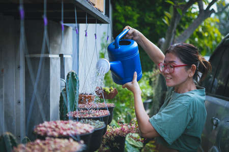beautiful asian woman watering colorful plant in hanging potの写真素材