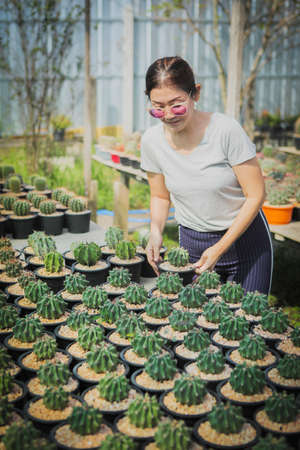 woman holding pot of mammillaria cactus  in succulent green house