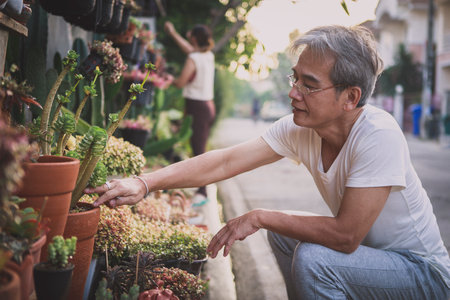 asian senior man taking care of plant at home gardenの写真素材
