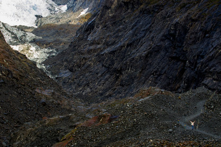 landscape of franz josef glacier one of most popular traveling destination in southland new zealandの写真素材