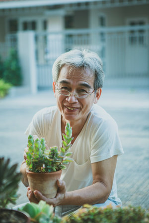 happiness face of asian senior man with succulent houseplant in handの写真素材