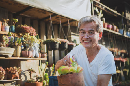 asian senior man toothy smile with happiness face holding succulent plant in handの写真素材