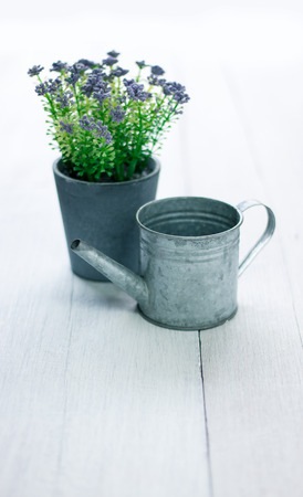 Watering can and violet flower on white wooden tableの写真素材