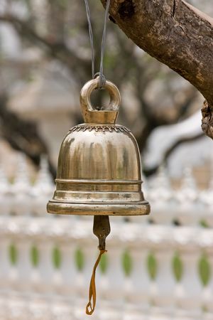 Brass bell hang by tree