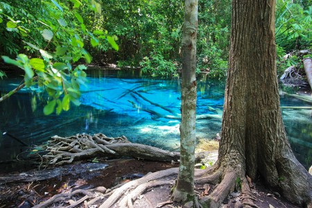 blue pond in rainforest of thailandの写真素材