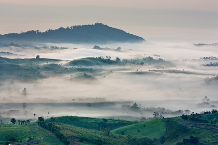 mountain and fog at  tropical zoneの写真素材