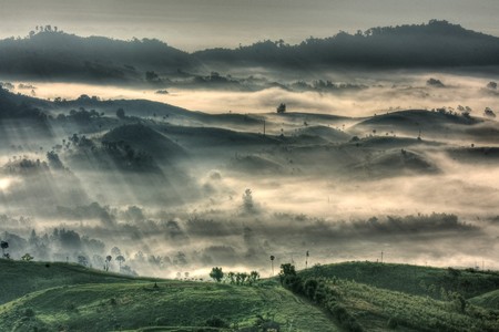 mountain and fog at  tropical zoneの写真素材