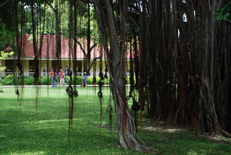 Greenery placeのeditorial素材