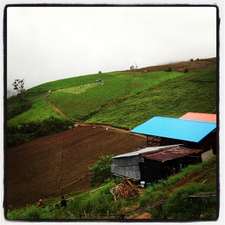 Local style houseの写真素材