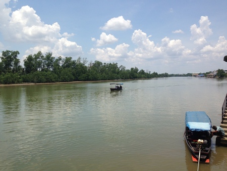 life in the riverの写真素材