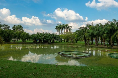 King Rama IX Park Bangkok,Thailand