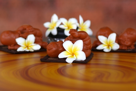 Frangipani flowers. Clay dollsの写真素材