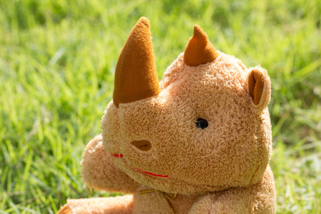 Brown Rhino Doll on green backgroundの写真素材