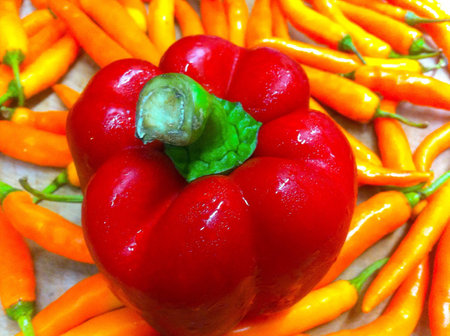 Fresh chili and paprika on background.