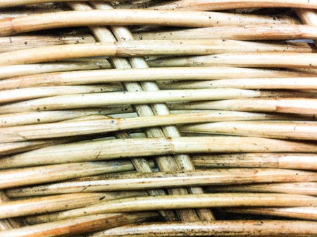 Bamboo backgroundの素材
