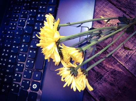 Flower and notebookの素材