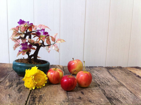 Apple and tree on the woodenの素材