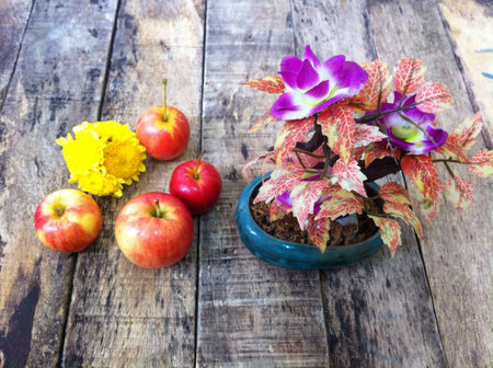 Apple and tree on the woodenの素材
