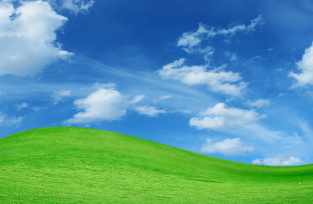 green grass and blue skyの写真素材