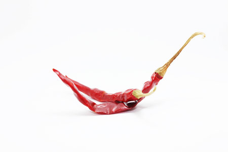 red chilli on white backgroundの写真素材